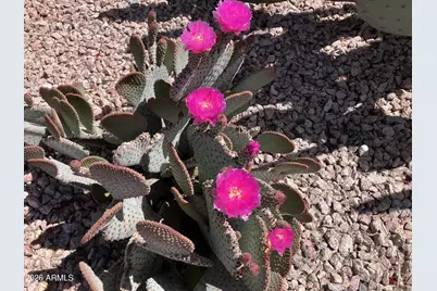 16801 N 94th Street #1063, Scottsdale, AZ 85260 - Photo 45