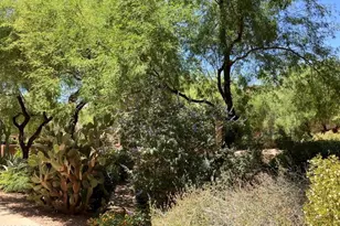 16801 N 94th St, Scottsdale, AZ 85260 - Photo 49