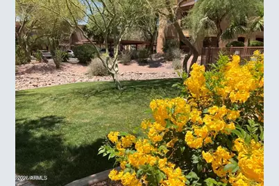 16801 N 94th Street #1063, Scottsdale, AZ 85260 - Photo 51