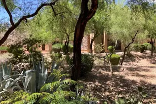 16801 N 94th St, Scottsdale, AZ 85260 - Photo 47