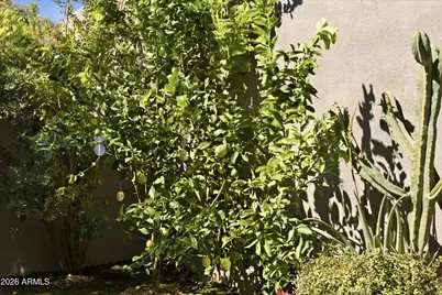 39229 N 100th Place, Scottsdale, AZ 85262 - Photo 33