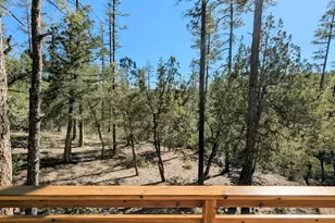 298 S Conifer Dr S, Payson, AZ 85541 - Photo 9