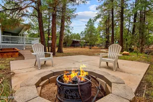 2236 Cross Country Rd, Overgaard, AZ 85933 - Photo 45