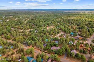 2236 Cross Country Rd, Overgaard, AZ 85933 - Photo 51