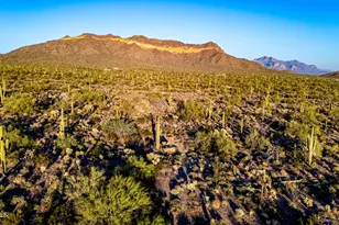 3439 N 91st Pl, Mesa, AZ 85207 - Photo 55
