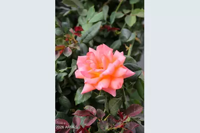 6625 E Culver Street, Scottsdale, AZ 85257 - Photo 35