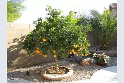 257 S 124th Avenue, Avondale, AZ 85323 - Photo 39