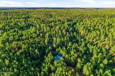 2070 Gobbler Lane, Forest Lakes, AZ 85931 - Photo 57