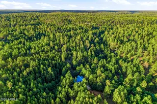 2070 Gobbler Ln, Forest Lakes, AZ 85931 - Photo 57