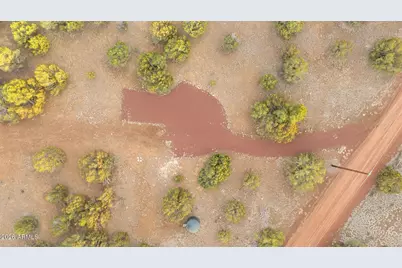 9042 N Red Fox Lane, Williams, AZ 86046 - Photo 53