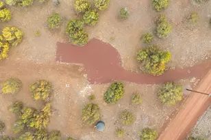 9042 N Red Fox Ln, Williams, AZ 86046 - Photo 53