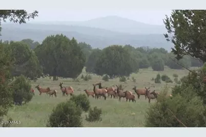 15115 Noseeum Road #621, Williams, AZ 86046 - Photo 19