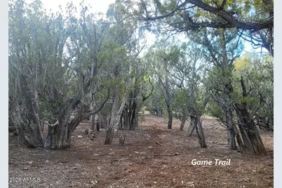 15115 Noseeum Road #621, Williams, AZ 86046 - Photo 13