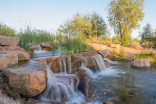 4390 S White Dr, Chandler, AZ 85249 - Photo 79