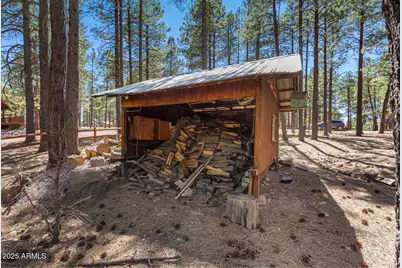 341 Pinto Road, Forest Lakes, AZ 85931 - Photo 7
