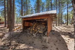 341 Pinto Rd, Forest Lakes, AZ 85931 - Photo 7