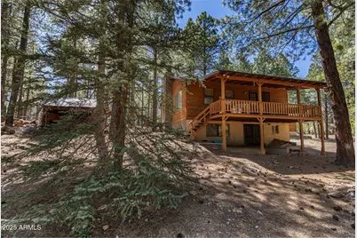 341 Pinto Road, Forest Lakes, AZ 85931 - Photo 9