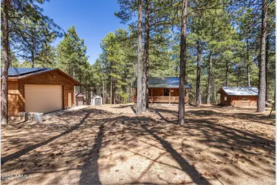 341 Pinto Road, Forest Lakes, AZ 85931 - Photo 1