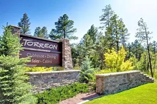 3990 Sugar Pine Loop, Show Low, AZ 85901 - Photo 45