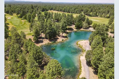 3990 Sugar Pine Loop, Show Low, AZ 85901 - Photo 59