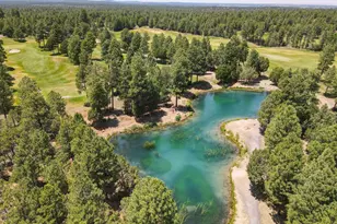 3990 Sugar Pine Loop, Show Low, AZ 85901 - Photo 59