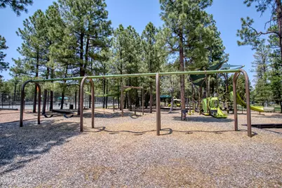 3990 Sugar Pine Loop, Show Low, AZ 85901 - Photo 57