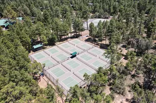 3990 Sugar Pine Loop, Show Low, AZ 85901 - Photo 53
