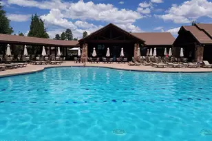 3990 Sugar Pine Loop, Show Low, AZ 85901 - Photo 49