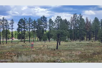 578 E Osprey Lane, Pinetop, AZ 85929 - Photo 37