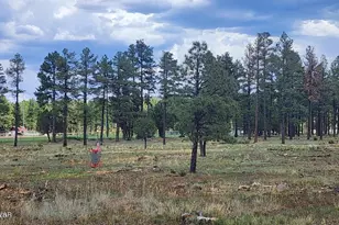 578 E Osprey Ln, Pinetop-Lakeside, AZ 85929 - Photo 37