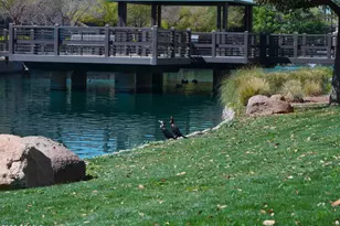 2651 S Balsam Dr, Gilbert, AZ 85295 - Photo 43