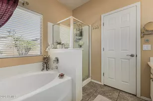 186 W Desert Vista Trail, San Tan Valley, AZ 85143 - Photo 17