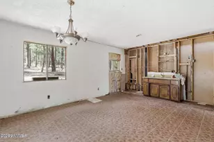 6 S County Road N2148 Rd, Alpine, AZ 85920 - Photo 5