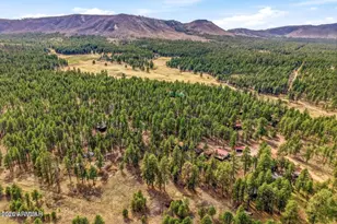 6 S County Road N2148 Rd, Alpine, AZ 85920 - Photo 23