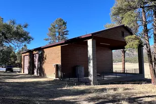 3 County Road N2261 --, Alpine, AZ 85920 - Photo 7