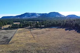 3 County Road N2261 --, Alpine, AZ 85920 - Photo 33