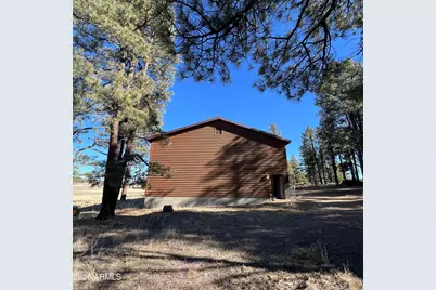 3 County Road N2261 --, Alpine, AZ 85920 - Photo 13