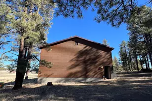 3 County Road N2261 --, Alpine, AZ 85920 - Photo 13