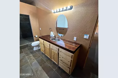 3 County Road N2261 --, Alpine, AZ 85920 - Photo 23