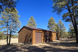 3 County Road N2261 --, Alpine, AZ 85920 - Photo 37