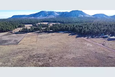 3 County Road N2261 --, Alpine, AZ 85920 - Photo 3