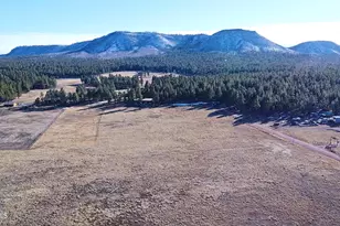 3 County Road N2261 --, Alpine, AZ 85920 - Photo 3