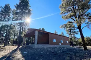 3 County Road N2261 --, Alpine, AZ 85920 - Photo 11