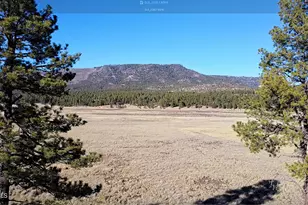 3 County Road N2261 --, Alpine, AZ 85920 - Photo 35