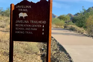 10652 E Acacia Dr, Scottsdale, AZ 85255 - Photo 57