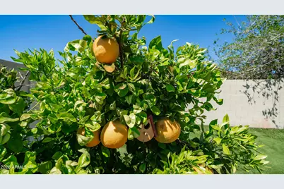 6212 W Carol Ann Way, Glendale, AZ 85306 - Photo 19