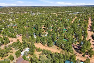 2877 Lazy Bear Trail, Overgaard, AZ 85933 - Photo 27