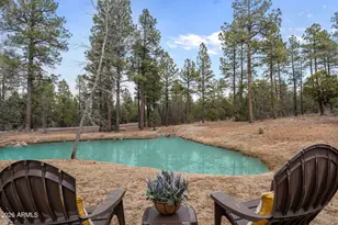 4651 W White Oak Ln, Show Low, AZ 85901 - Photo 15