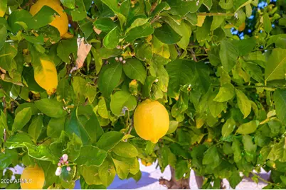 14332 W Arzon Way, Sun City West, AZ 85375 - Photo 31