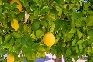 14332 W Arzon Way, Sun City West, AZ 85375 - Photo 31